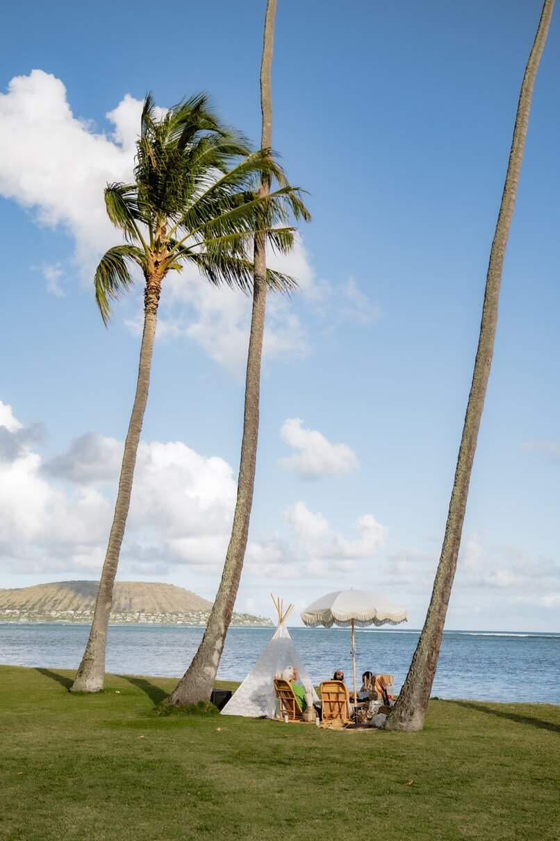 Hawaii picnic set up