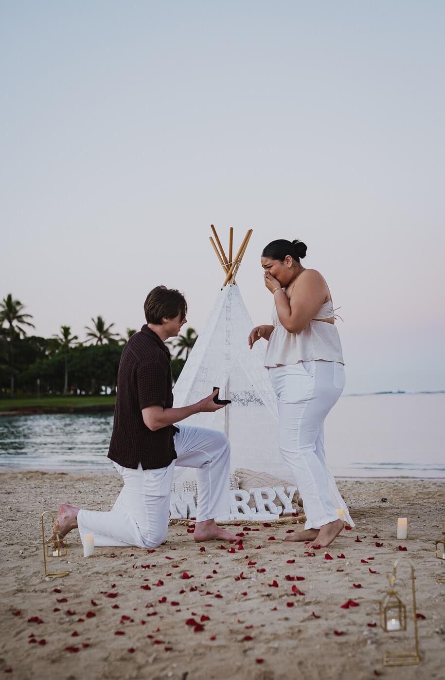 picnic set ups