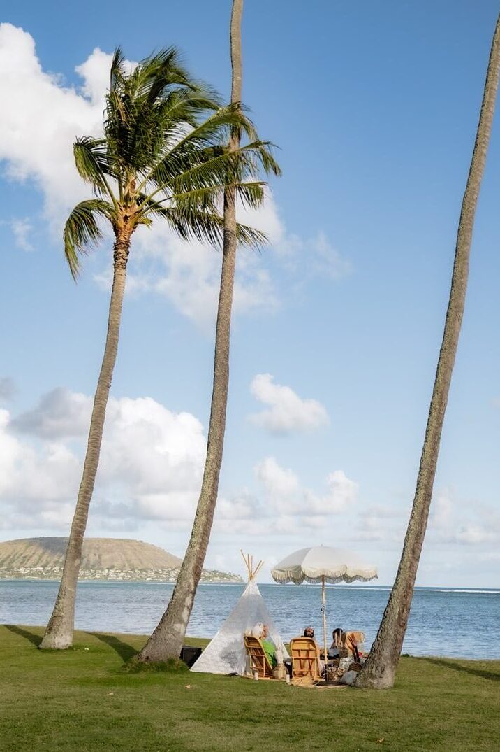 Hawaii picnic set up