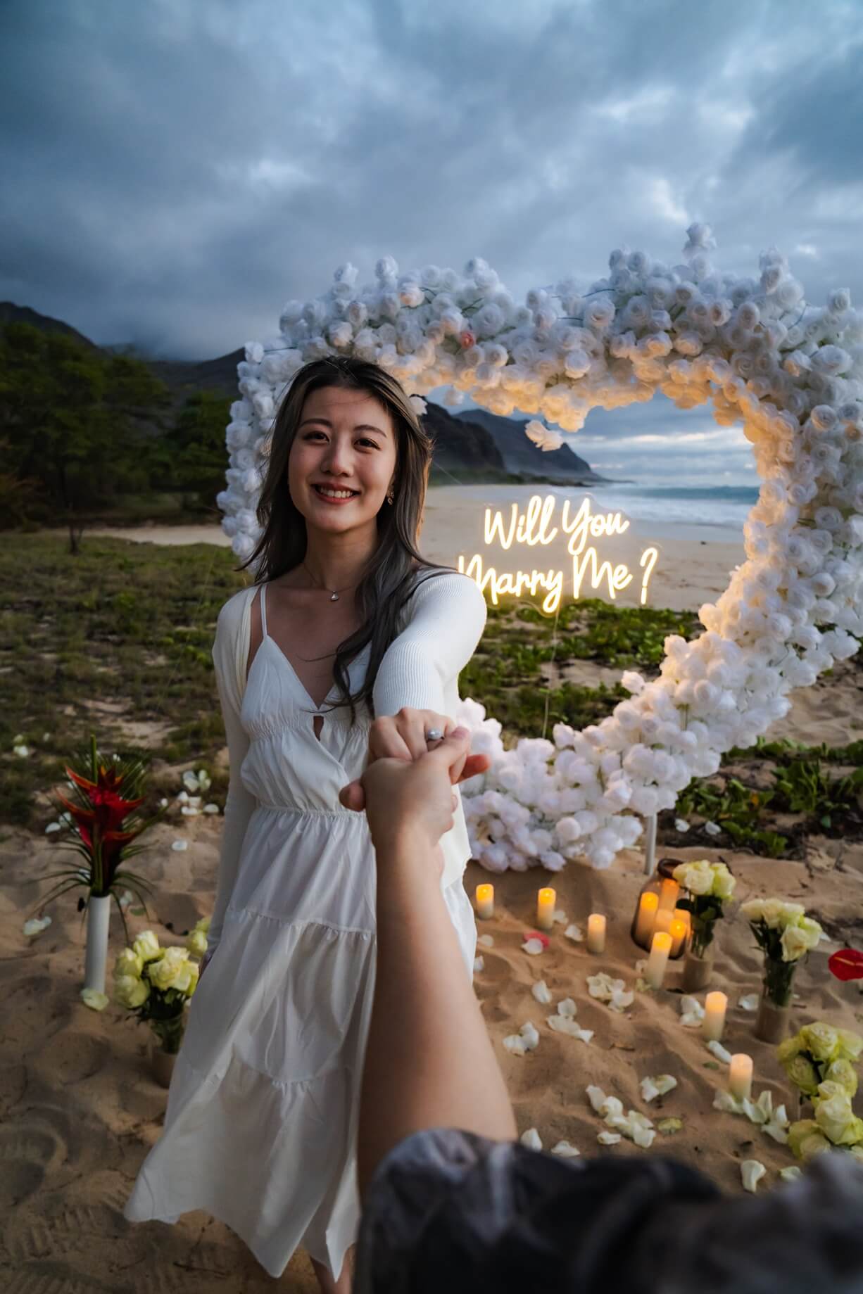 Hawaii Proposals