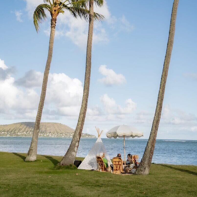 Hawaii picnic set up